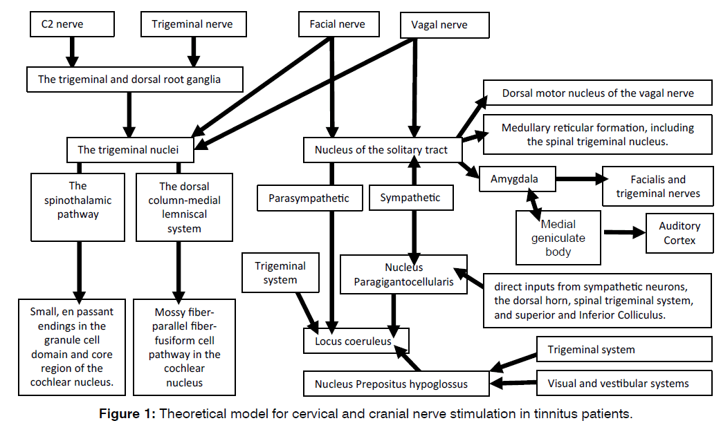 tinnitus-cranial-nerve-stimulation